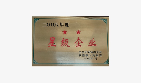 Certificate – Two-Star Enterprise (2008)