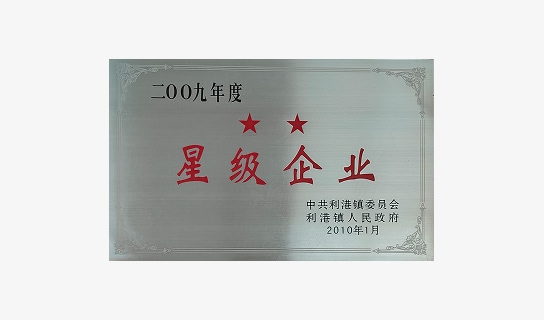 Certificate – Two-Star Enterprise Award (2009)