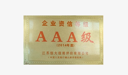 Certificate – AAA Credit Rating (2014)