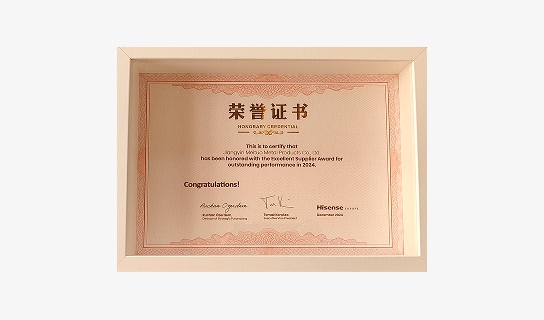 Certificate – Excellent Supplier Award (Hisense Europe, 2024)