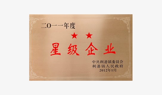 Certificate – Two-Star Enterprise Award (2011)
