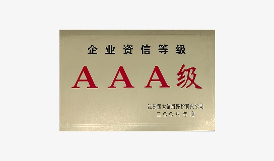 Certificate – AAA Credit Rating (2008)